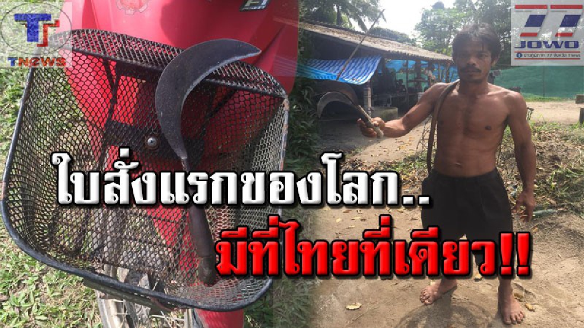 พี่ไทยโชว์เหนือ..!! ออกใบสั่งหนึ่งเดียวในโลก ฐาน "พกเคียวตัดหญ้าวัวชน" งานนี้..โซเชี่ยลวิจารณ์สนั่น แล้วจากนี้จะใช้อะไรตัดหญ้า..!? (คลิป)