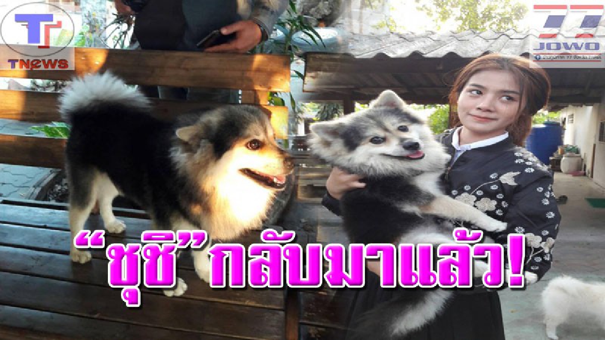 กลับคืนสู่อ้อมกอด..!! "เจ้าชุชิ" สุดกระดี๊กระด๊า ได้เจอหน้าเจ้าของแล้ว หลังโลกโซเชียลแชร์ตามหาให้ควั่ก..งานนี้ดีใจน้ำตาซึม!? (คลิป)