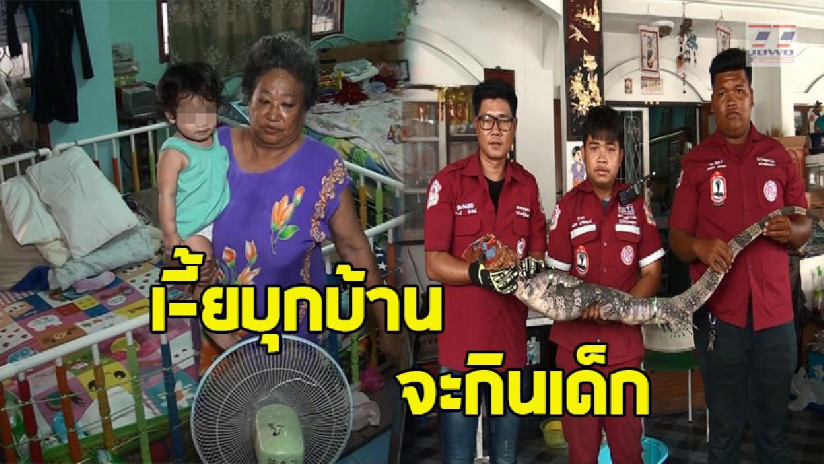 หัวใจแทบวาย ! ยายนอนหลับ ตื่นมาพบตัวเงินตัวทองบุกบ้าน อ้าปากจะกัดหลานสาววัย 1 ขวบบนที่นอน ตกใจ..กรีดร้องเสียงดังสนั่น (ชมคลิป)