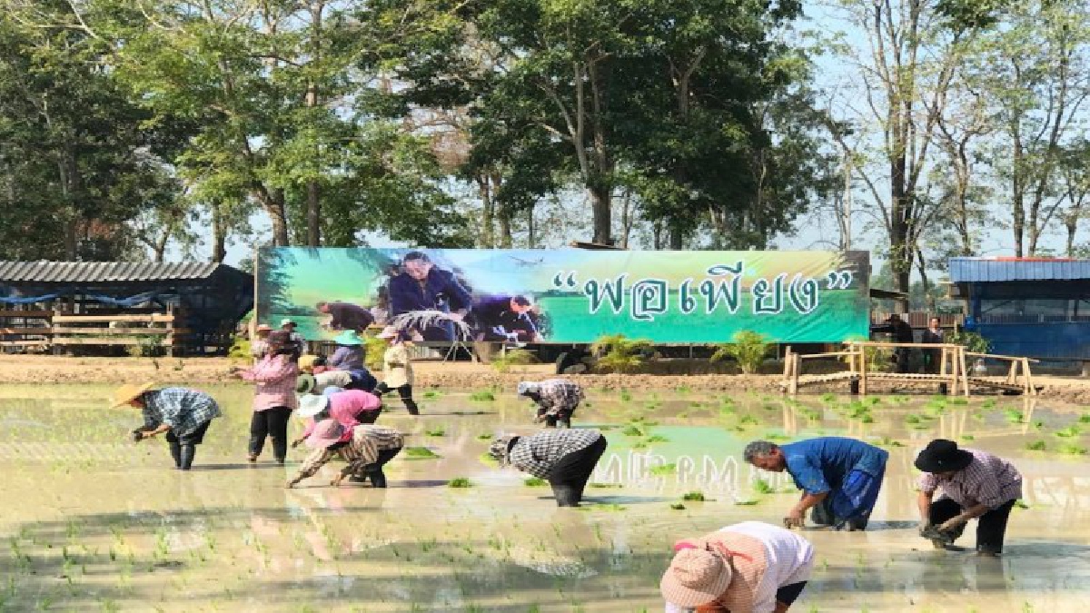 เจ้าอาวาสวัดทรงเสวย สานปณิธานในหลวง ร.๙ ปรับพื้นที่วัดทำเกษตรทฤษฎีใหม่ให้ชาวบ้านเรียนรู้