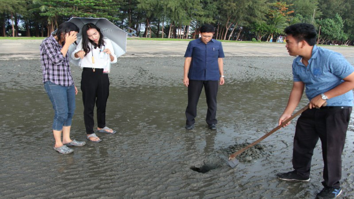นอภ.หาดสำราญ นำทีมสำรวจวิจัยโคลนชายหาดสำราญซึ่งเป็นทรายสีนิล ที่มีตัวโคลนอยู่ภายในเพื่อหาสารที่มีประโยชน์ เพื่อต่อยอดสู่การทำสปาโคลน