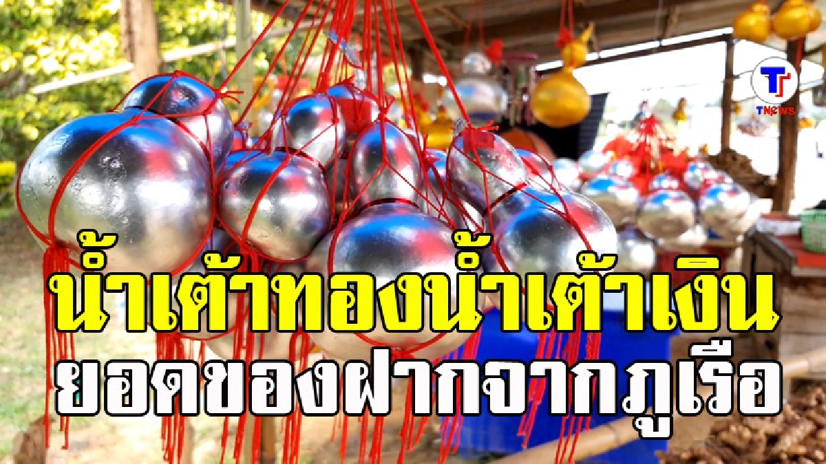 น้ำเต้าทองน้ำเต้าเงิน หัถตกรรมในครัวเรือน สุดยอดของฝากจากภูเรือ (มีคลิป)