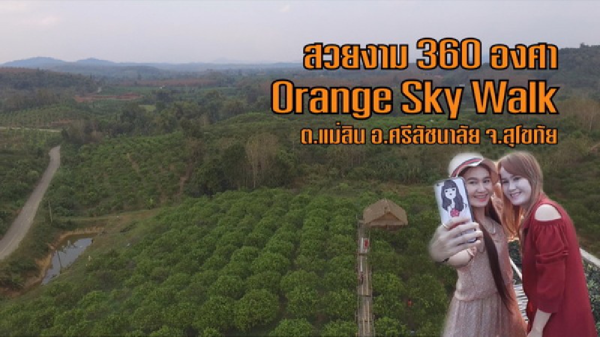 ไอเดียเก๋! เจ้าของ Orange Sky Walk เปิดจองส้ม GAP การันตีผลผลิตร้อยกิโลต่อต้น (ชมคลิป)