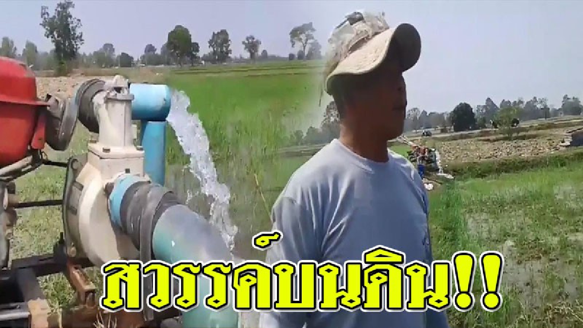 นี่แหละ...สวรรค์บ้านทุ่ง!! ชาวนาเมืองช้าง สูบน้ำบาดาลทำนาปลูกข้าวหอมมะลินาปรัง ขายราคาดี ก็พออยู่ได้ ไม่ต้องไปหางานทำที่ไหน..!?