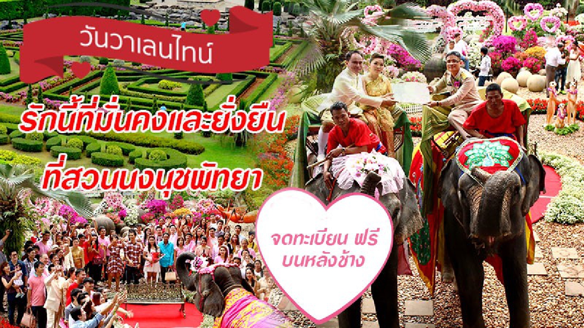 รักนี้ที่มั่นคงและยั่งยืน!? 14 กพ. นี้ สวนนงนุชพัทยา จัดงานจดทะเบียนสมรสบนหลังช้าง เพื่อคู่รักวันวาเลนไทน์  ในสวนสวย Top 10 ของโลก (คลิป)