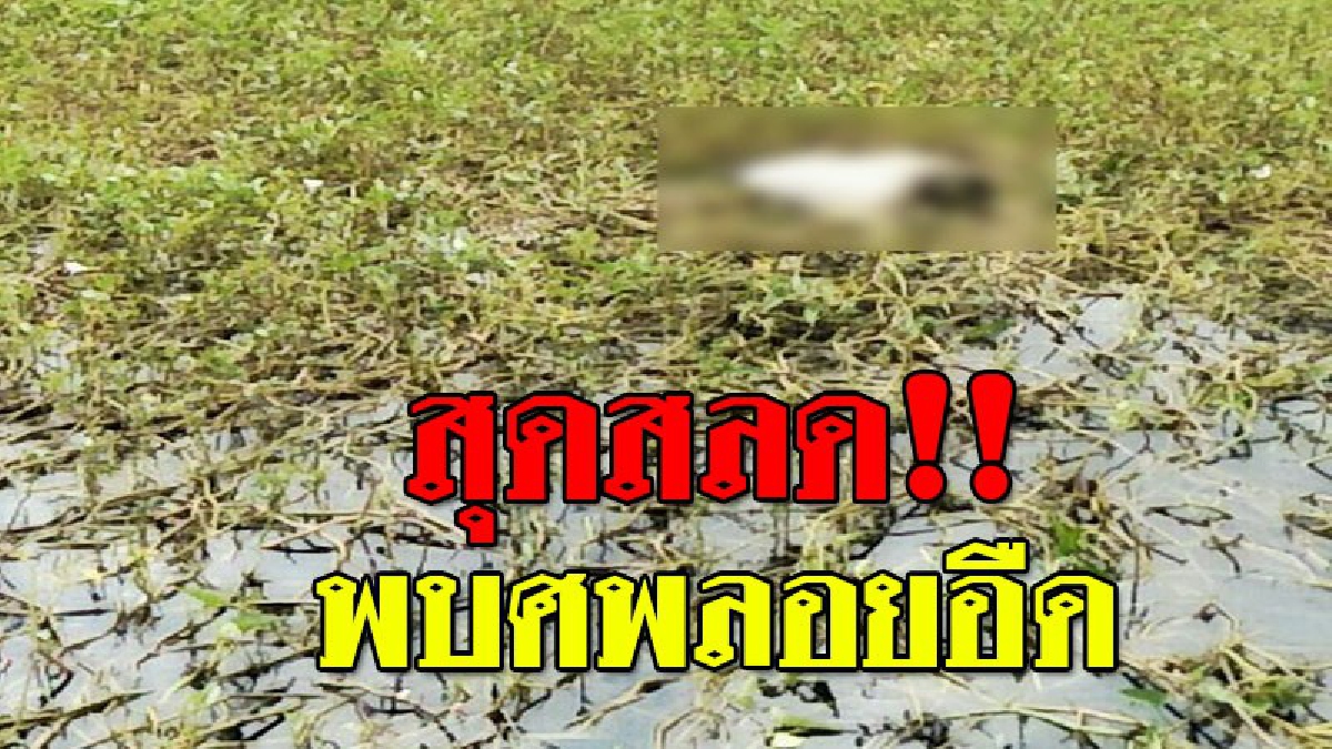 สุดสลดใจ!?? สาววัย 29 ป่วยสติไม่สมประกอบ หายออกจากบ้าน พบอีกทีเป็นศพลอยน้ำในบ่อกุ้งร้าง คาดลงเก็บผักบุ้ง แล้วเป็นตะคริว ดับอนาถ
