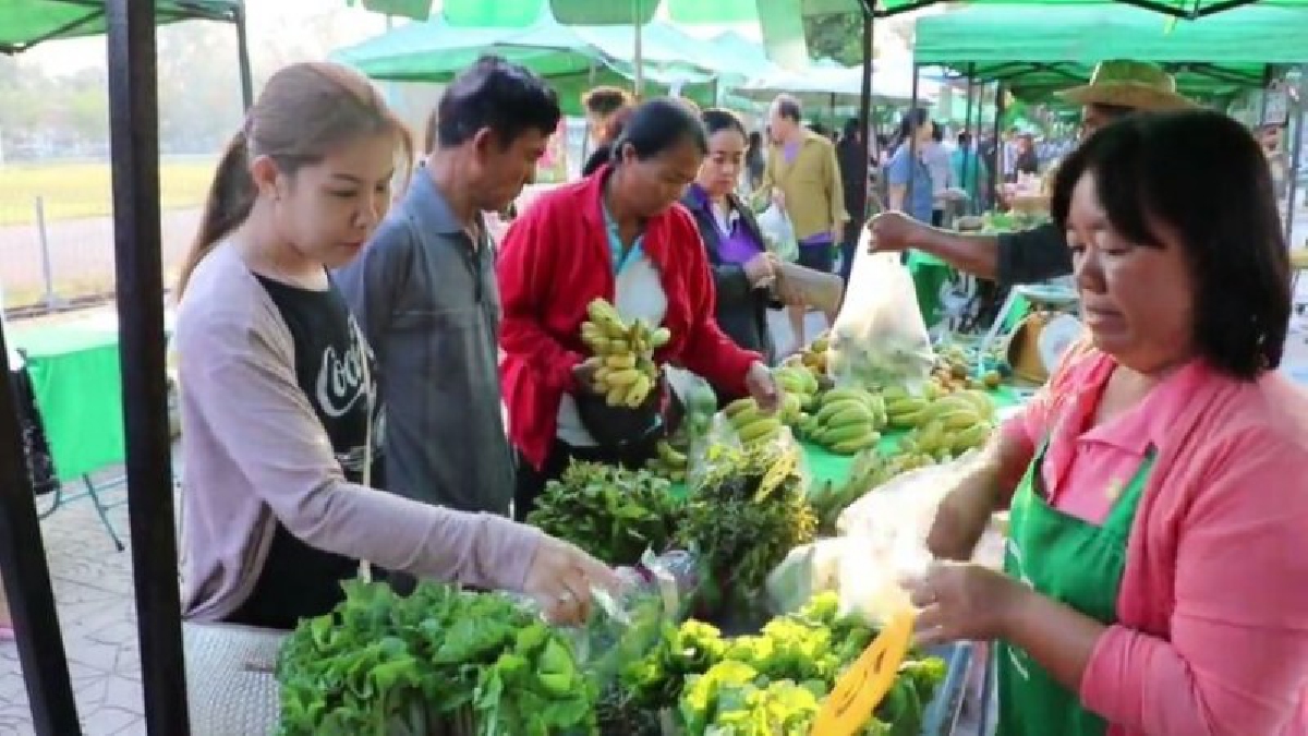 ตลาดเกษตรกรคึกคักประชาชนเลือกซื้ออาหาเพียบเพราะเป็นพืชผักปลอดไร้สารปนเปื้อนส่วนร้านขายปลาย่างขายดิบขายดีลูกค้ายืนรอต่อคิวซื้อไม่ขาดสาย