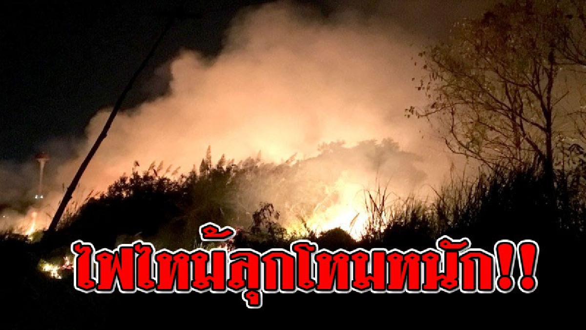 เดือดร้อนทั้งบาง!! จนท.ดับเพลิง ทน.เจ้าพระยาสุรศักดิ์ ชาวบ้านช่วยกันดับไฟป่าที่ ลุกลาม-โหมหนัก กำลังจะเข้าหมู่บ้าน คาดมือดีทิ้งก้นบุหรี่..!?