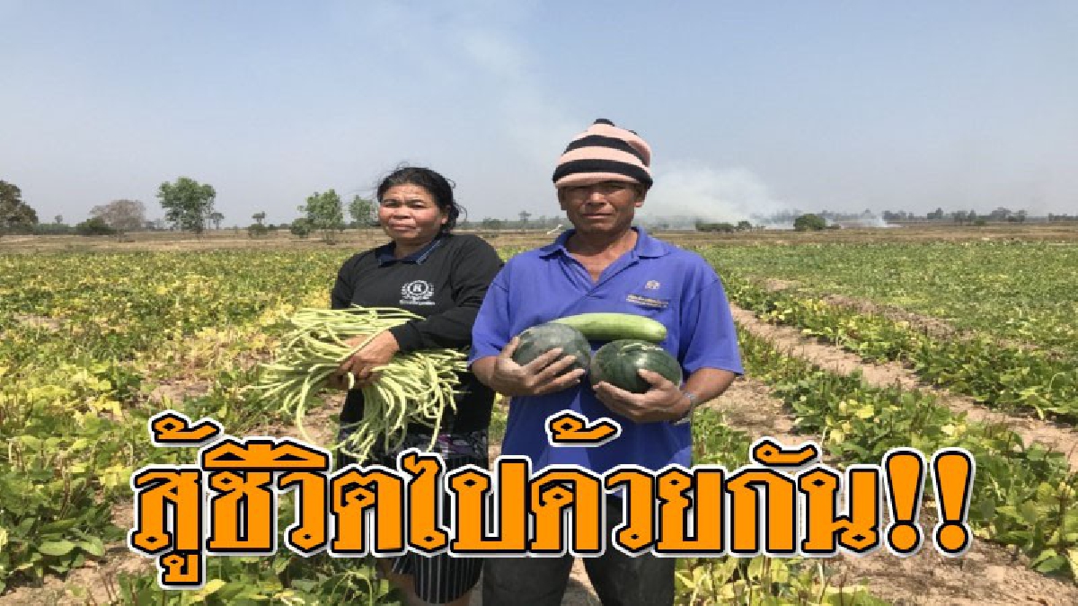 คู่รักต้นแบบหัวใจหิน เลิกเหล้า เลิกเล่นพนัน 4 ปี เลิกจน หันมาทำเกษตรพอเพียงตามรอยพ่อ ร.9 สร้างรายได้สู่ครอบครัวเดือนละ 30,000 - 40,000 บาท
