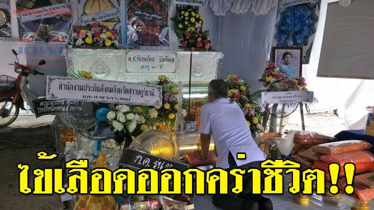 ระวัง!!! ไข้เลือดออกภัยเงียบคร่าชีวิตเด็กวัย 10 ขวบ รายแรกของสุราษฎร์ฯ สาธารณสุขเร่งควบคุมสถานการณ์หลังพบผู้ป่วยในพื้นที่แล้ว 7 ราย(มีคลิป)
