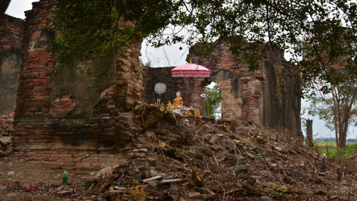 ฮือฮากันทั้งบาง !! ชาวบ้านท่าช้างแตกตื่น พบวัดร้างกลางป่ารกโบราณสถานเก่าแก่อายุหลายร้อยปี ถูกปกคลุมไปด้วยต้นไม้ใหญ่ (คลิป)