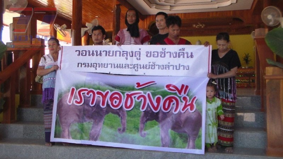 พวกเราขอคืน!! กรรมการช้างวิงวอน "ขอช้างคืน" จี้ทุกหน่วยทำตามกฎหมาย หลังอัยการสั่งคืนช้าง..!?
