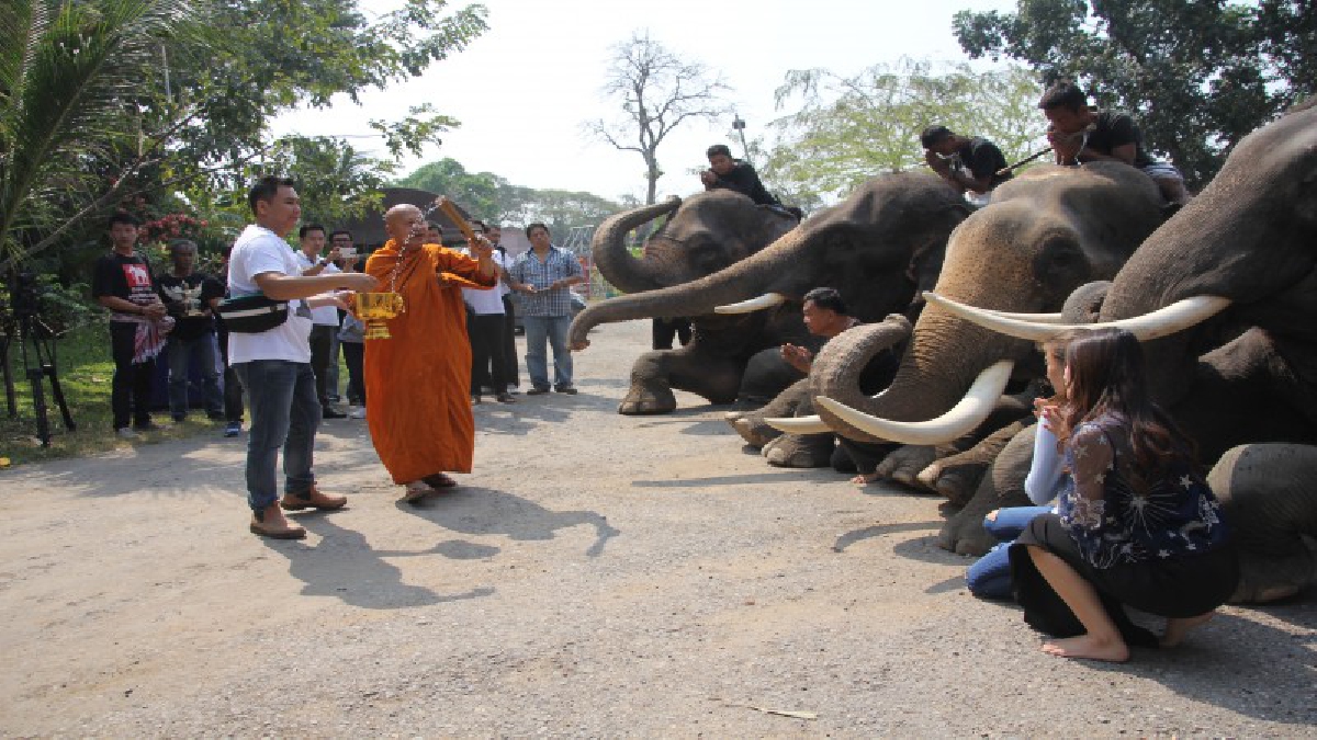 แซยิดเจ้าของวังช้างอยุธยาและเพนียด นิมนต์เกจิดังทำบุญ ประพรมน้ำมนต์ ยืนยันทำความดีตอบแทนคุณแผ่นดิน ต่อไป (ชมคลิป)