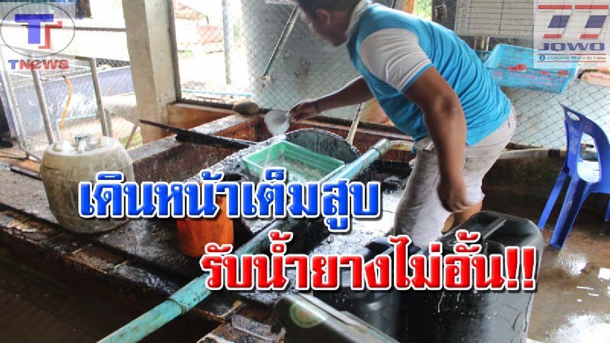 ชาวสวนยางเฮ..! สหกรณ์กองทุนฯบ้านป่าไผ่เดินหน้าเต็มสูบ หลังรัฐจัดงบอุ้มชาวสวนยาง รับน้ำยางได้ไม่อั้น เตรียมขยายสถานที่เปิดกระบวนการผลิตเพิ่ม