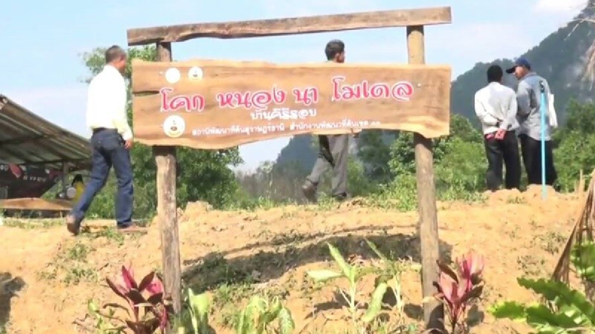 ราคายางตกต่ำ เกษตรกรโค่นยาง 12 ไร่ มุ่งทำเศรษฐกิจพอเพียงตามศาสตร์พระราชา เป็นศูนย์เรียนรู้ (มีคลิป)