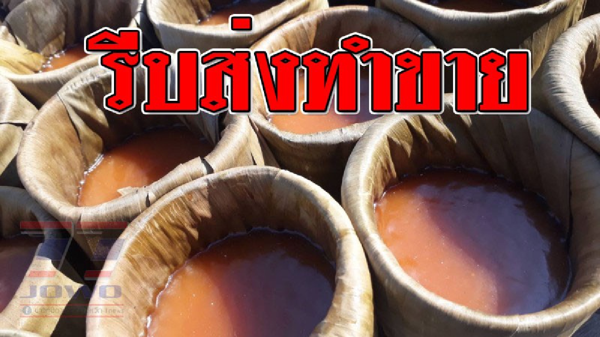 เตรียมรับตรุษจีน ! ขนมเข่งขนมทองพับ ขายดีรับออเดอร์ เร่งทำมือเป็นระวิงเพื่อให้ทันส่งลูกค้าทั้งไทยและมาเลย์..!?