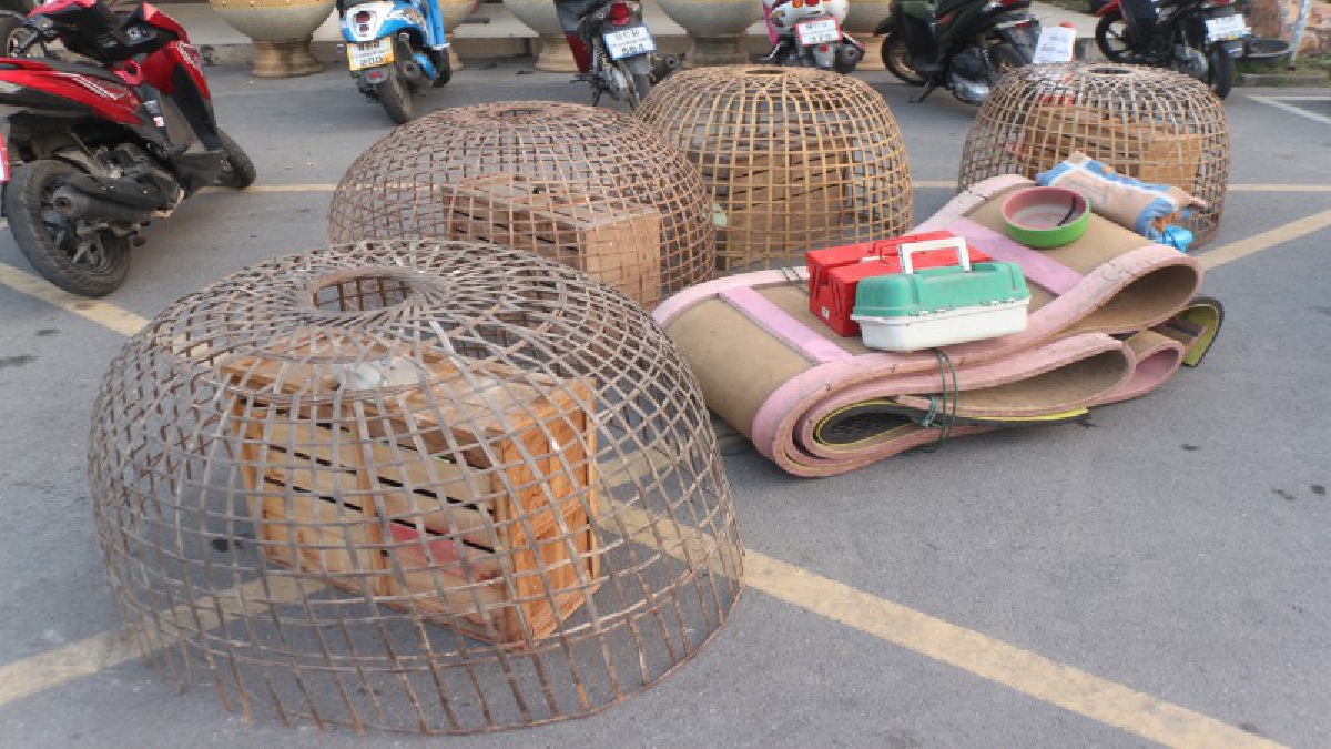 ฝ่ายปกครองร่วม-ทหาร-ตำรวจ บุกจับนักพนันลักลอบตีไก่ชน พร้อมของกลางเพียบ  (ชมคลิป)