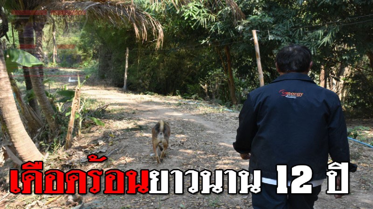 คิดแต่จะเอาเงินอย่างเดียว ! อดีตข้าราชการบำนาญกรมที่ดิน ร้องขอไฟฟ้านานกว่า 12 ปี สุดท้ายเรื่องก็ยังเงียบอยู่..!??