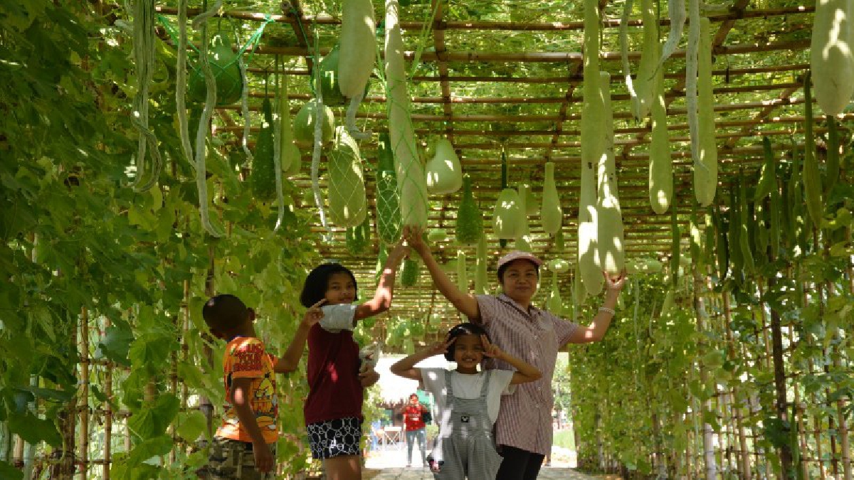 สุดทึ่ง!! อุโมงค์ผัก ประชาชนทั่วสารทิศ แห่ชมในงานเกษตรและของดีเมืองอ่างทอง