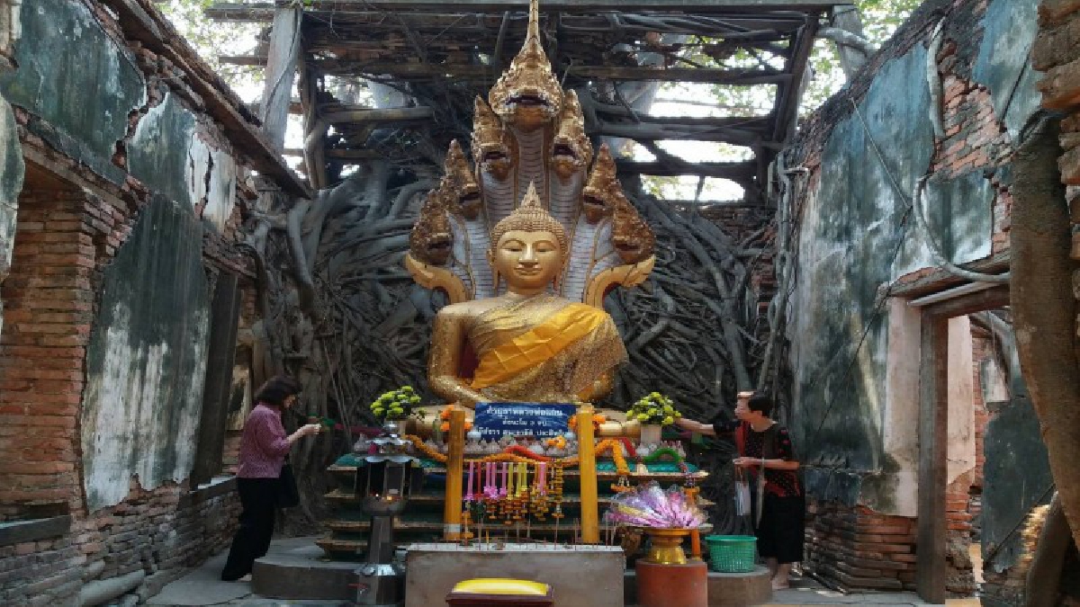 ชาวอ่างทองสุดปลื้ม "โพธิ์ล้อมโบสถ์วัดสังกระต่าย" ได้รับคัดเลือกเป็น 1 ใน 65 ต้นสวยที่สุดในประเทศและเป็นไม้สำคัญของชาติ (คลิป)