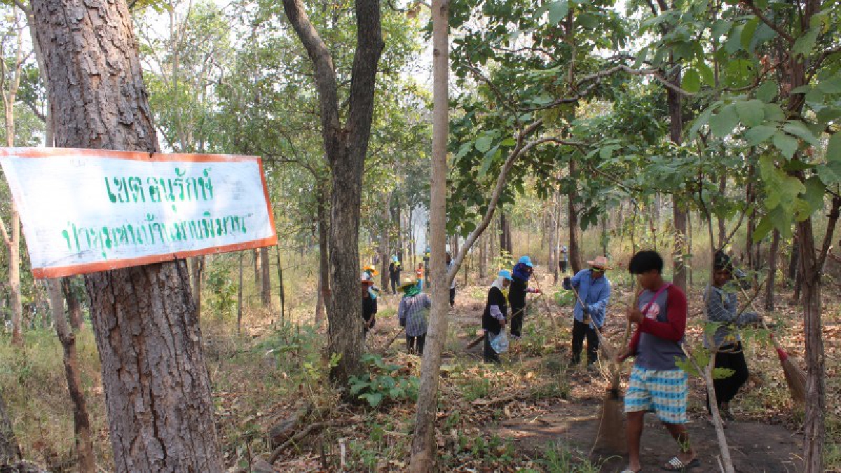 จิตอาสาประชาชนชาวครบุรี ช่วยกันทำแนวป้องกันไฟป่า ในพื้นที่อุทยานแห่งชาติทับลาน (มีคลิป)