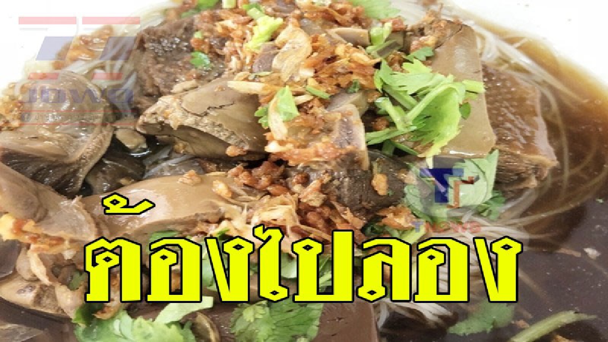 ก๋วยเตี๋ยวเป็ด ธรรมดา สานต่อความอร่อยจากรุ่นสู่รุ่น สูตรต้นตำรับจากเมืองจีน ขายมานานกว่า 50 ปี  คุณภาพไม่เปลี่ยน เน้นเนื้อนุ่ม น้ำซุปแซ่บ!?