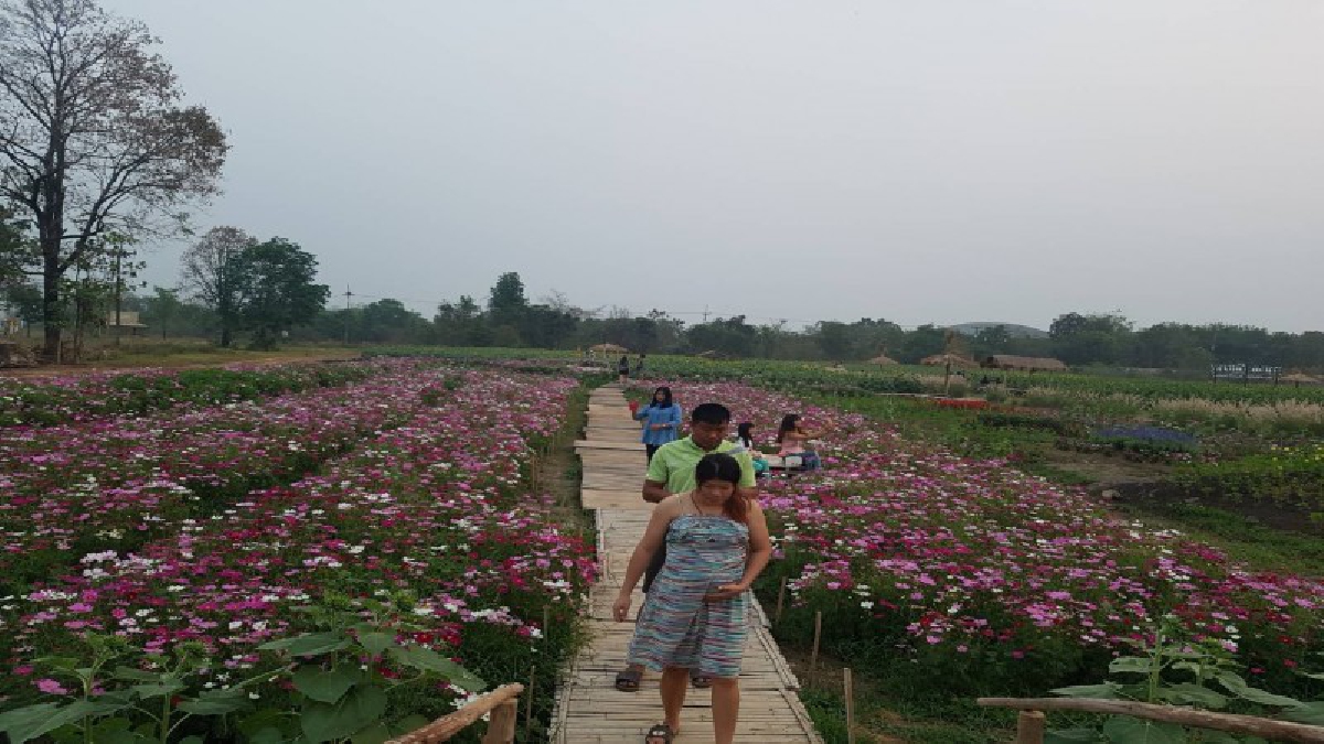 วันวาเลนไทน์!! อ.กบินทร์บุรีร่วมกับ อบต.บ่อทอง-บริษัทไทยเคนเปเปอร์จำกัด(มหาชน) นำคู่รัก-บ่าว-สาว 14 คู่ จดทะเบียนสมรสกลางสวนดอกไม้ (ชมคลิป)