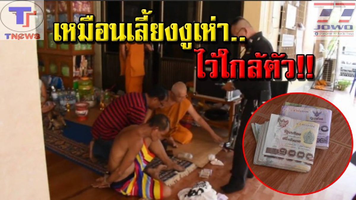 เลี้ยงเสียข้าวสุก !! เจ้าอาวาสผงะ ให้โอกาสหนุ่มใหญ่อาศัยวัดอยู่กิน แต่กลับถูกตีเนียนบีบนวดร่างกาย ก่อนฉกเงินหนีกว่า 4 หมื่นบาท (คลิป)