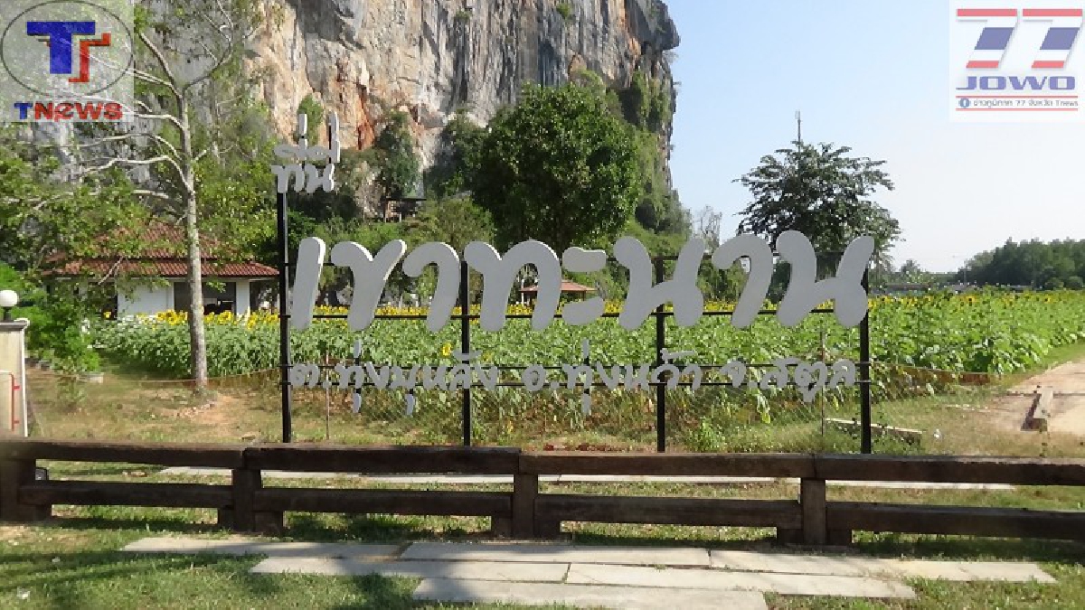 เบิกบานรับเดือนแห่งความรัก..!! ทุ่งทานตะวันเขาทะนาน สุดคึกคัก นทท.แห่ชมวันละ 500 คน ต้อนรับเทศกาลวาเลนไทน์ (คลิป)