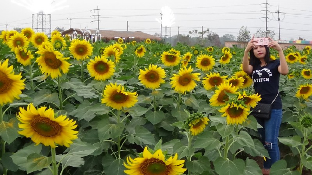 วาเลนไทน์ อ.กบินทร์บุรีนำคู่บ่าว-สาว14คู่จดทะเบียนสมรสหมู่