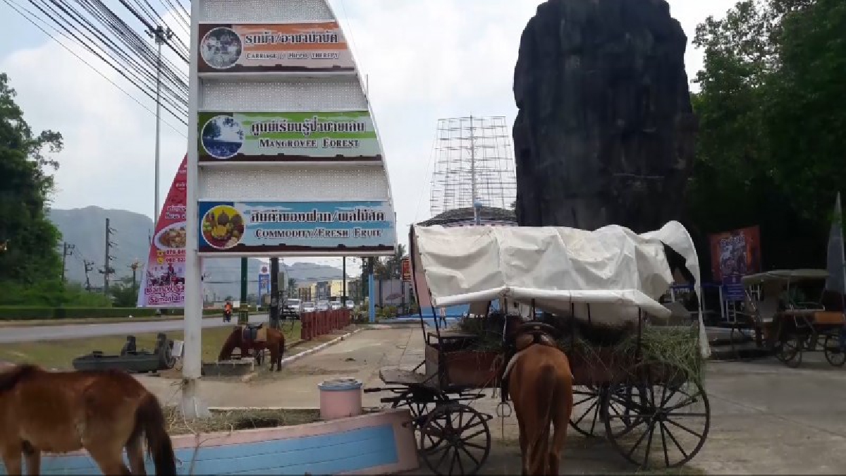 ทัวร์ขี่ม้าพังงาโวย...กรมทรัพยฯแจ้งม้ารบกวนสิทธิผู้อื่น แต่ถูกเทศบาลเมืองพังงาบอกเลิกสัญญาเช่าสถานที่ทำธุรกิจเสียหายกว่า 6 ล้านบาท (ชมคลิป)