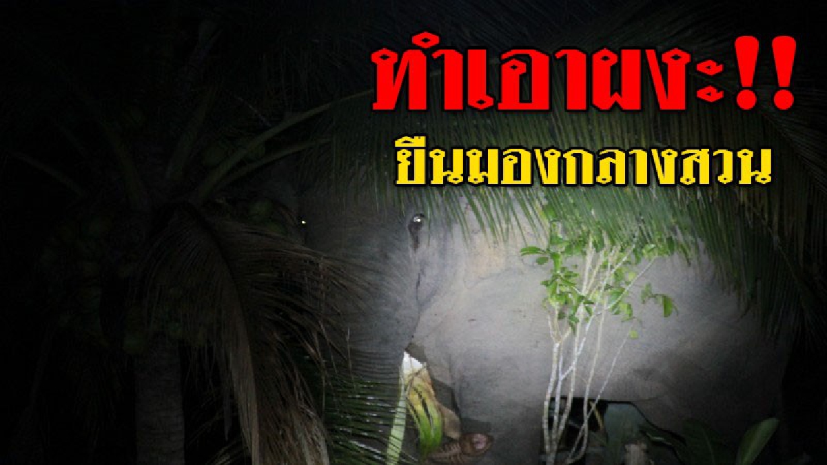 เกือบหัวใจวาย !? 2 ตา-ยายเดินไปเปิดน้ำในสวนกลางดึก กลับช็อกหนัก เมื่อช้างหนุ่มยืนมองอยู่ งานนี้ทำเอาวิ่งสุดกำลัง เพื่อเอาชีวิตรอด..!!