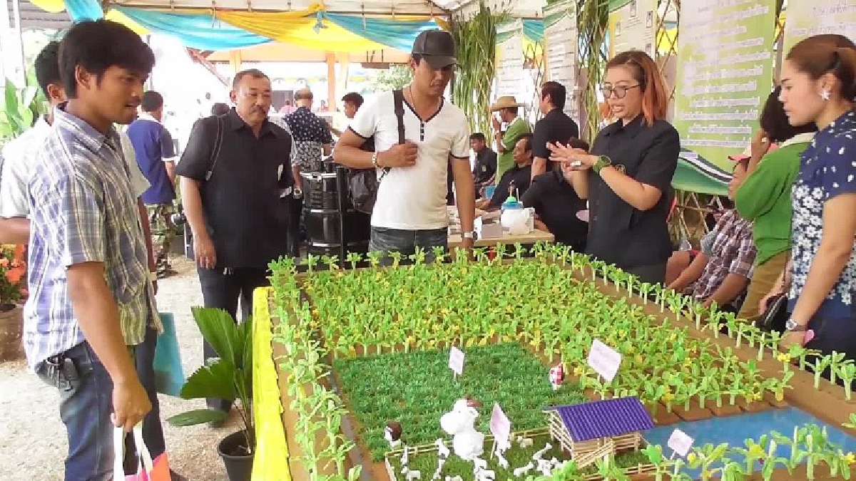 เกษตรชัยนาท เตรียมจัดคลินิกเกษตรเคลื่อนที่ ให้ความรู้การปลูกพืชไร่คุณภาพดีแก่เกษตรกร เพื่อเพิ่มประสิทธิภาพการผลิต