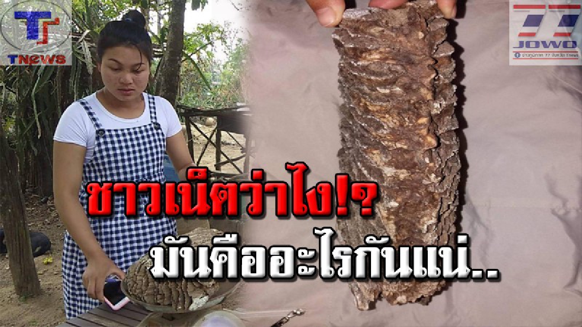 โอ้แม่เจ้า..โลกโซเชียลกระหน่ำแชร์!! พบสิ่งของแปลกประหลาด ลักษณะคล้าย "กระดูกโบราณ" เชื่อเป็นกระดูกพญานาค (คลิป)