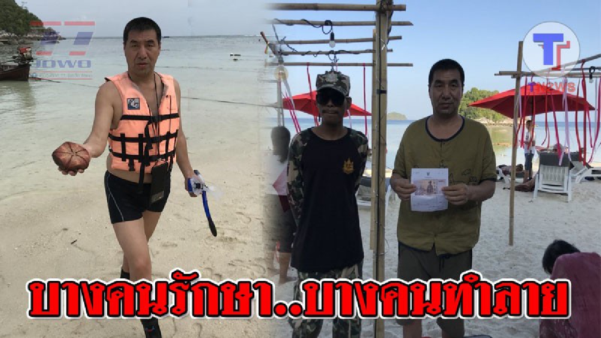 อย่ามาทำลายธรรมชาติของไทย ! ทัวร์จีนพ่นพิษ เหยียบย่ำปะการัง จับหอยเม่น ปลาการ์ตูน และดอกไม้ทะเลต้องห้าม สร้างความเสียหายทรัพยากรธรรมชาติ!?