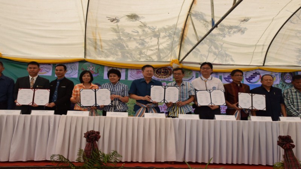 มหาสารคามจัดงาน&ldquo;วันข้าวโพดอาหารสัตว์มหาสารคาม&rdquo;(Forage Corn Field Day) งานแสดงความก้าวหน้าของการพัฒนาด้านอาหารหยาบคุณภาพดีสำหรับโคนม&nbsp;
