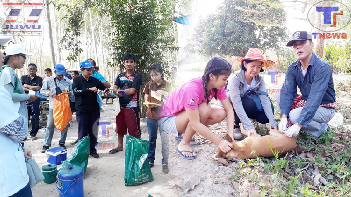 อัพเดทสถานการณ์..โรคพิษสุนัขบ้าระบาด!! จนท.ปูพรมฉีดวัคซีนในสัตว์เลี้ยงลูกด้วยนม พร้อมเร่งประชาสัมพันธ์ให้ทุกบ้านเฝ้าระวังสุนัขบ้า (คลิป)