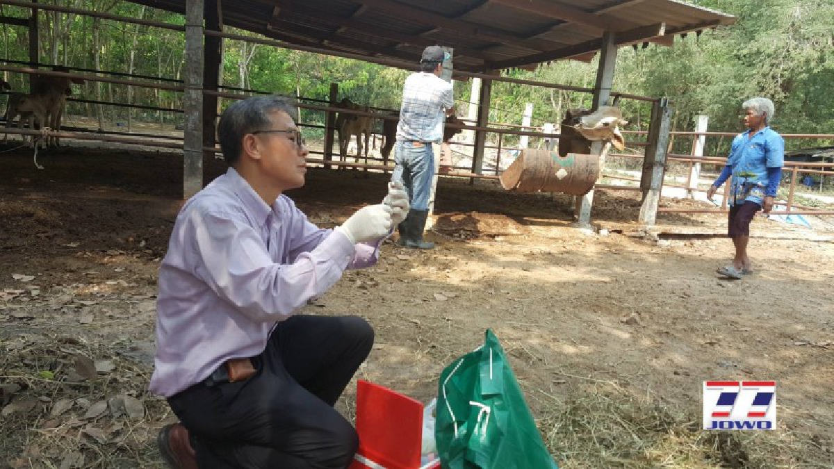 **ปศุสัตว์ระยอง นำเจ้าหน้าที่ ปูพรมฉีดวัคซีนในสัตว์เลี้ยงลูกด้วยนม หลังมีวัวตายจากโรคพิษสุนัขบ้า