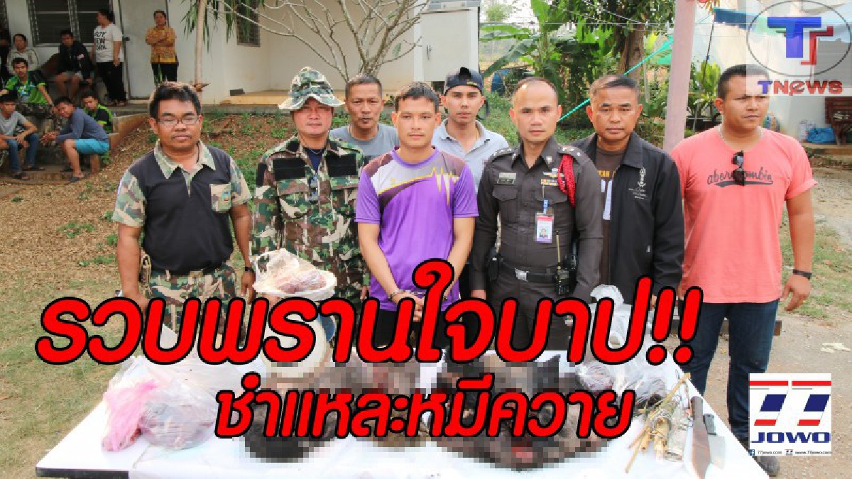 ไม่ใหญ่เหมือน "เจ้าสัว"..ก็เข้าคุกไป !! รวบแล้วพรานป่าโคราช ลักลอบดักหมีควาย ชำแหละเอาอุ้งตีนในพื้นที่เขตป่าเขาแผงม้า (คลิป)