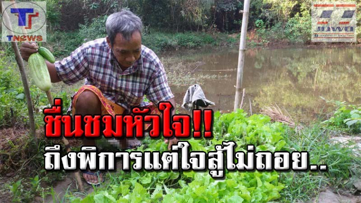 ตาบอดแต่ใจไม่บอด !! ชาวกระบี่ปลาบปลื้ม แห่ชื่มชมลุงพิการวัย 59 แม้จะตาบอด แต่ยังปลูกผักสวนครัวข้างบ้าน หาเลี้ยงชีพไม่เดือดร้อนใคร (คลิป)
