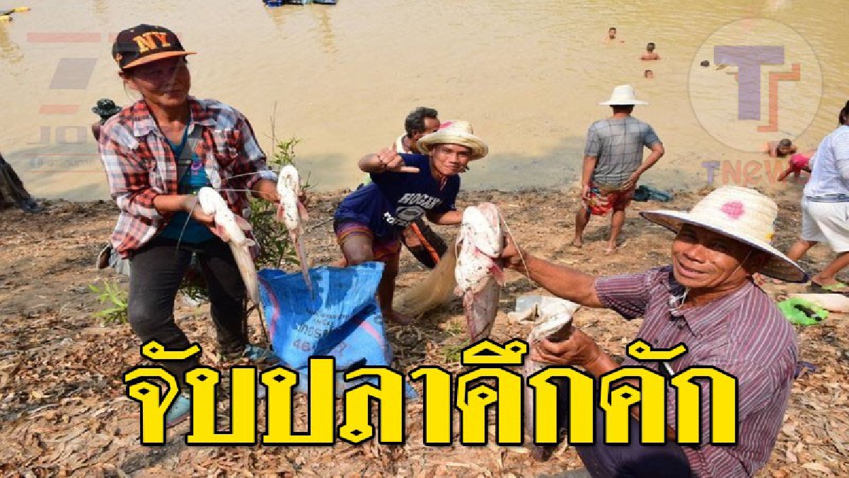 งานนี้มีแต่รอยยิ้ม ! ชาวบ้านดงน้อย จ.สุรินทร์ เปิดสระน้ำขายบัตร ให้ลงหว่านแหจับปลาคึกคัก (ชมคลิป)