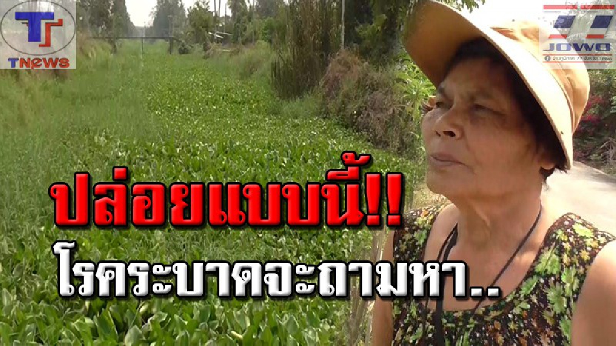 ชาวบ้านโวย..หน่วยงานรัฐหายไปไหนหมด!? ผักตบชวาขึ้นแน่นคลอง แต่ไร้หน่วยงานดูแล หวั่นเป็นแหล่งเพาะพันธุ์ยุงลายแพร่โรคไข้เลือดออก (คลิป)