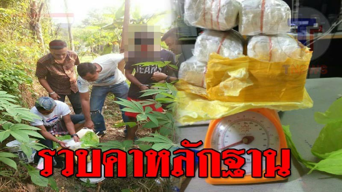 ปิดล้อมจับกุม ! ตร.บุกค้นแหล่งพักยา รวบหนุ่มเปิดบ้านซุกยาเสพติดจำนวนมาก ขณะที่ตัวการใหญ่ยังลอยนวล..!?