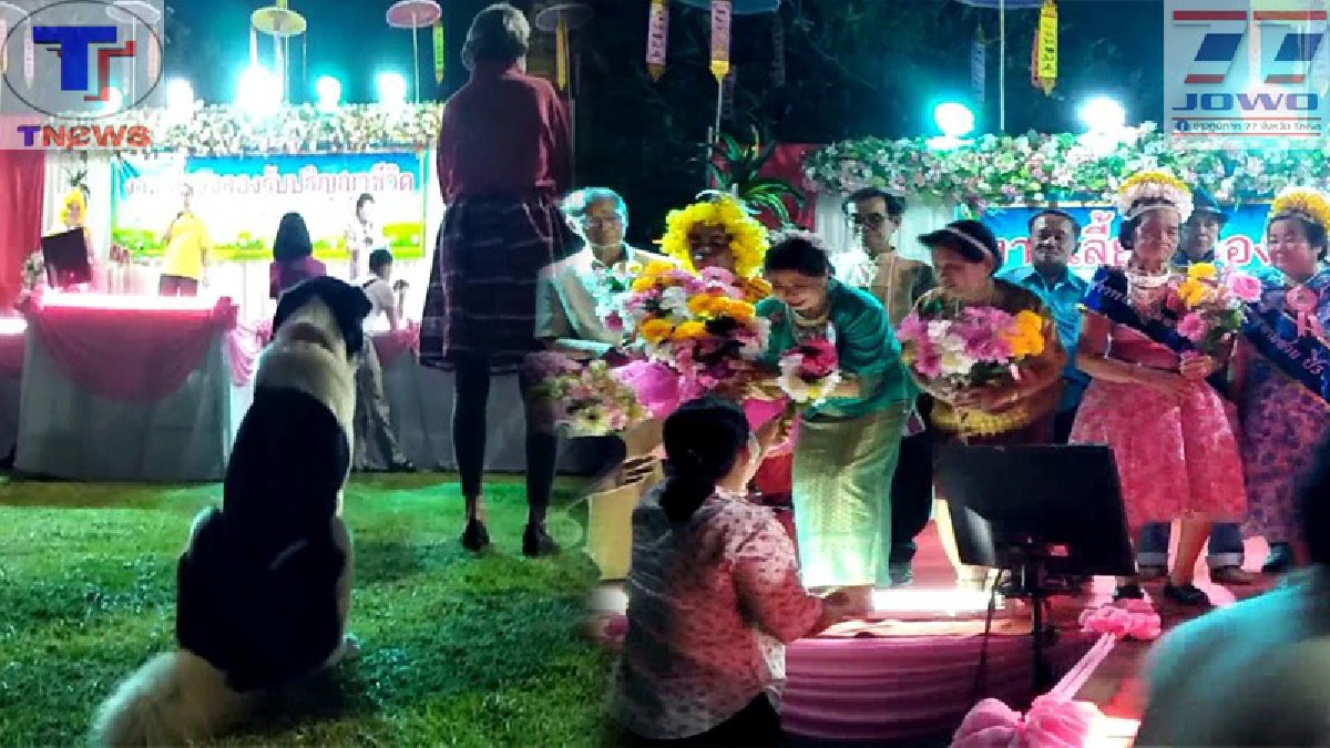 สีสันสุดฮา!! งานประกวดนางงามนักเรียนผู้สูงอายุ (สาวน้อย) ฉลองจบปริญญาชีวิต เฮลั่นเวที สนุกจนน้องหมานั่งมอง (คลิป)