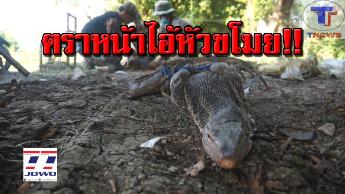 เกษตกรกุมขมับ!! ลงทุนเพาะเลี้ยงสัตว์น้ำ แต่กำไรหายหด ถูกหัวขโมยกวาดเรียบเกลี้ยงบ่อ รู้แล้วอึ้งหนัก! แค่ 4 วัน จับรวด 57 ตัว (คลิป)