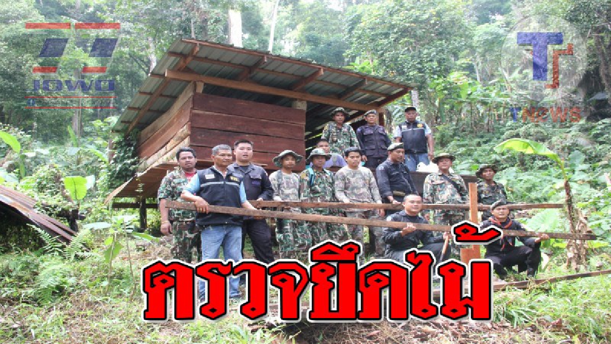 รวมพลัง ! ทหารพรานร่วมกับเจ้าหน้าที่ป่าไม้เข้าตรวจ "ยึดไม้แปรรูป" ที่ถูกสร้างขึ้นเป็นเพิงพักกลางป่าเขตรักษาพันธ์สัตว์ป่า