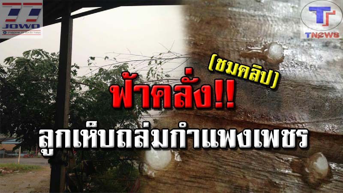 ที่ไหนตกบ้าง..กำแพงเพชรตกนะ !!? สาวโพสต์คลิปสุดตื่นเต้น เกิดมาพึ่งเคยเห็น "ลูกเห็บ" ตกแรงเกือบทะลุสังกะสี ใครไม่เคยเห็นต้องดู!! (คลิป)