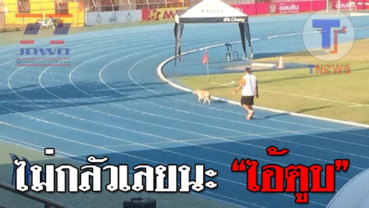 ไม่กลัวเลยนะ..!?ฮากันทั้งสนาม ตั้งแต่มี พรบ.คุ้มครอง มันไม่กลัวอะไรเลย ฟุตบอลมันก็จะเล่น จะตีก็กลัวโดนหลายหมื่น (มีคลิป)