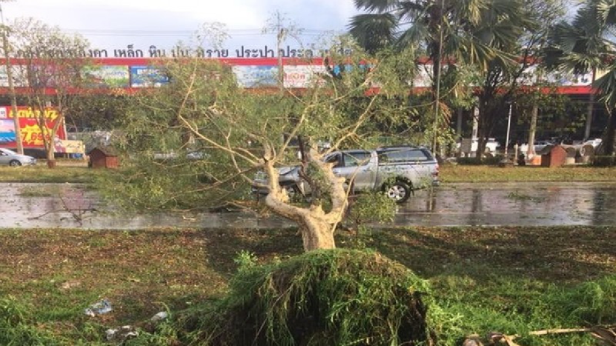 แหลกลาญ !! พายุฝนถล่มเมืองเชียงราย ลูกเห็บนับล้านเม็ดตกจนขาวโพลน รถยนต์ต้นไม้ล้มทับเสียหาย(ชมคลิป)