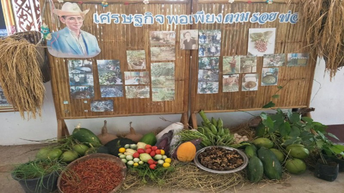 เศรษฐกิจพอเพียง งานสร้างรายได้ในครัวเรือน สร้างอาชีพให้มั่นคง (ชมคลิป)